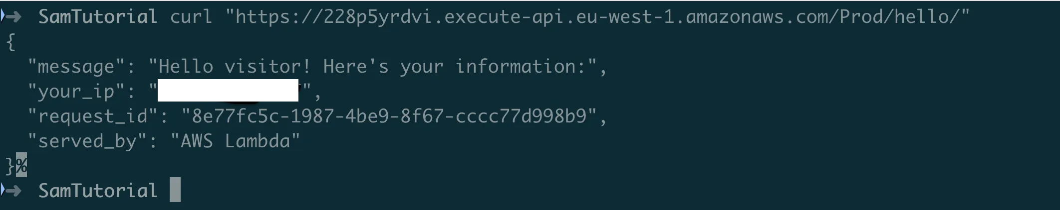 Testing the deployed API endpoint showing the JSON response with IP address