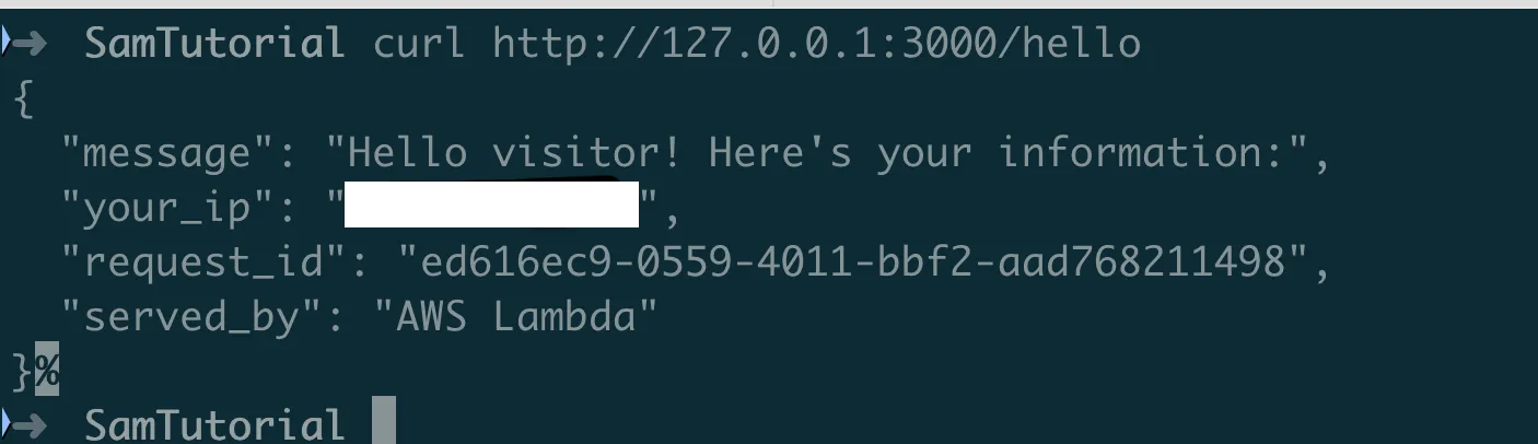 Browser showing the JSON response from the local API with IP address and request details