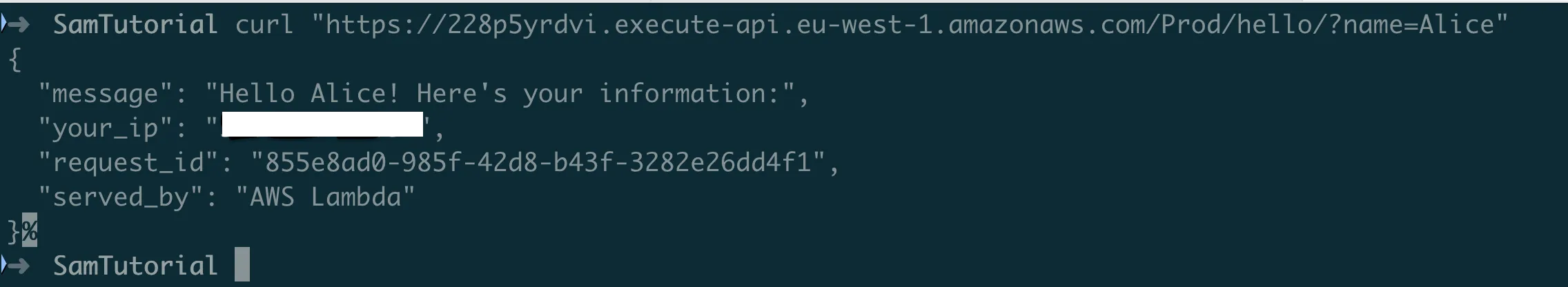 Testing the API with query string parameters showing personalized Hello Alice response