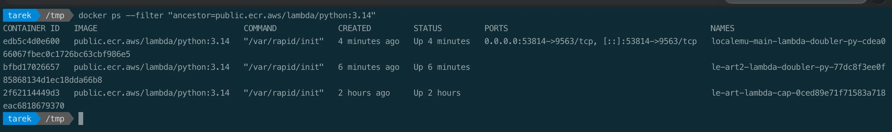 The official AWS Lambda runtime container running on the Docker host