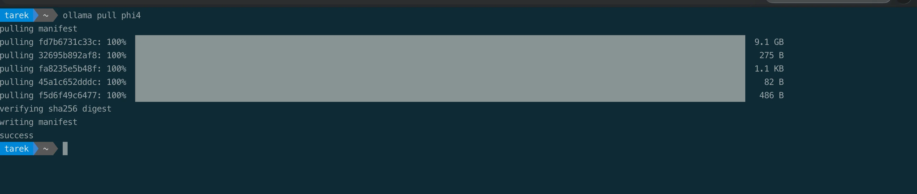 ollama pull phi4 - downloading the 9.1GB model