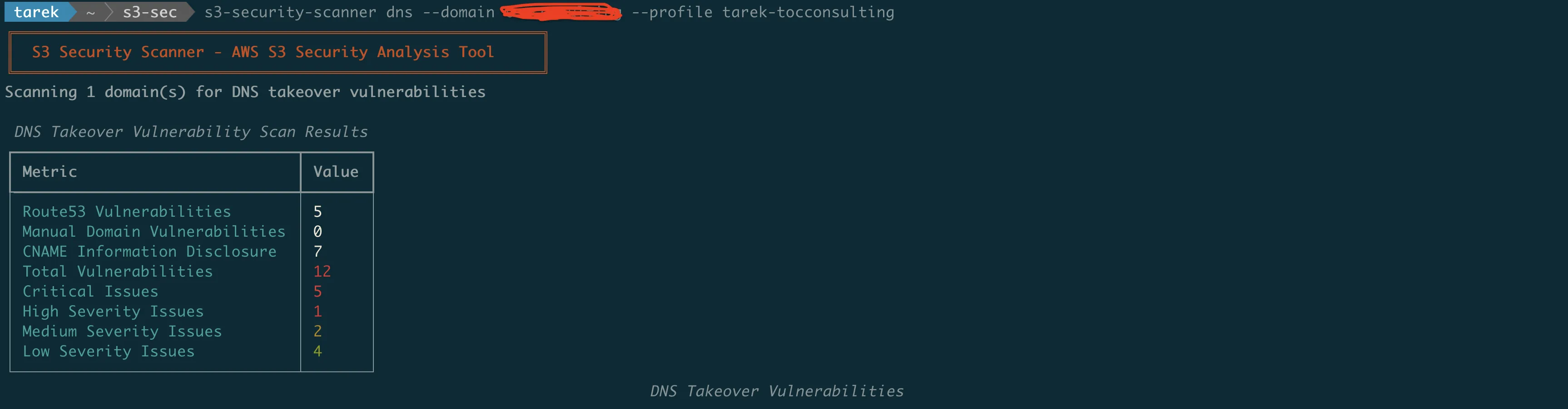S3 Security Scanner DNS takeover detection scanning Route53 hosted zones