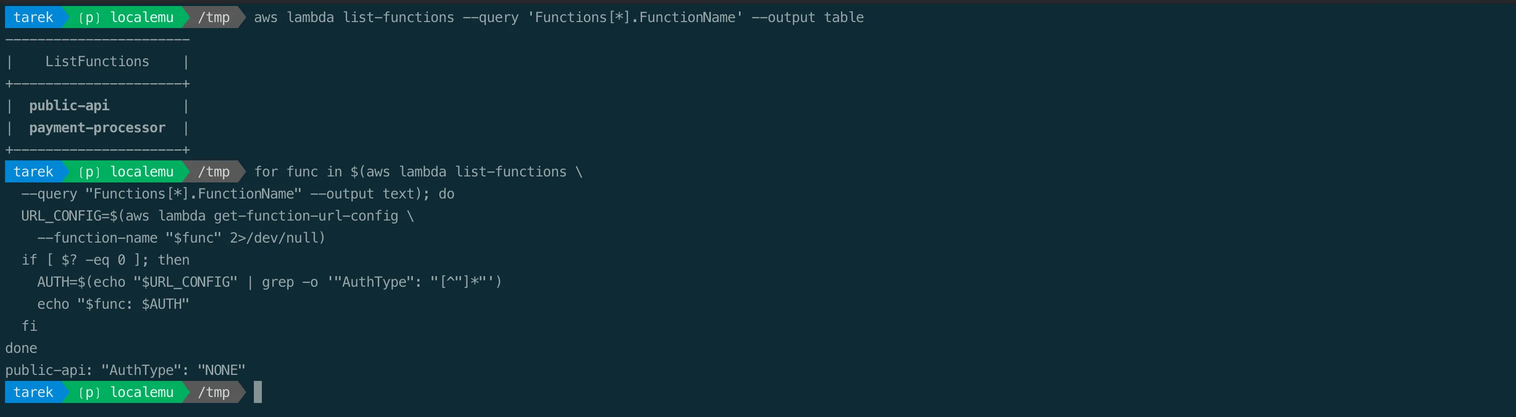 Listing Lambda function URLs and their auth type: public-api shows AuthType NONE